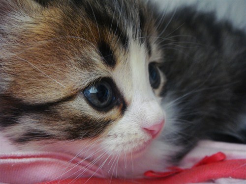Wide -eyed -look -of -WONDER Wide -eyed -look -of -WONDER